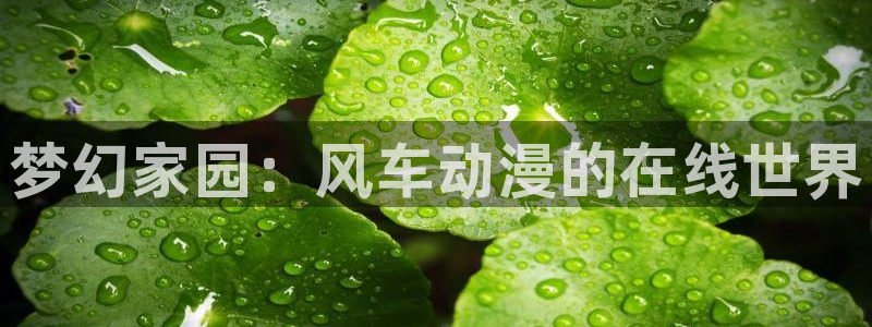 omofun官方网