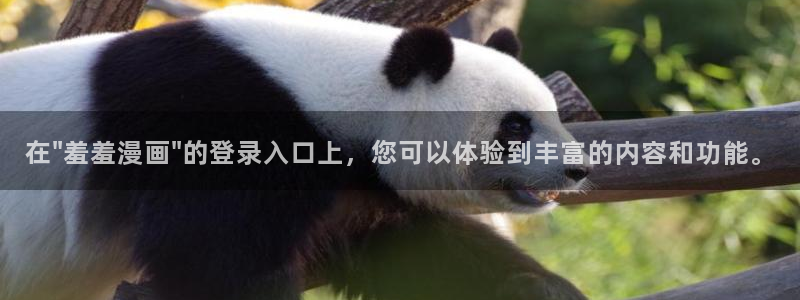 omofun动漫官方官网