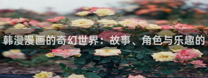 omofun官方网站入口