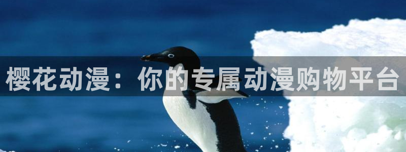 omofun 翻译
