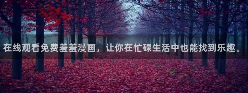 网页版omofun