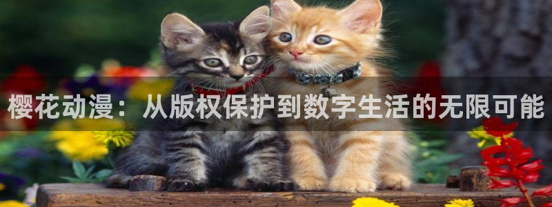 www.omofun.