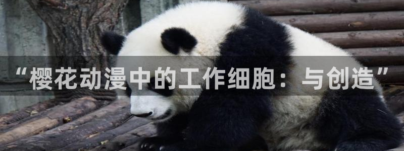 omofun动漫官方版下载