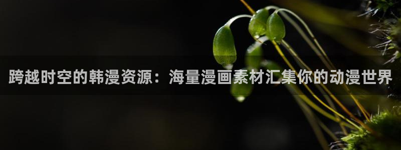 o站(omofun)官网