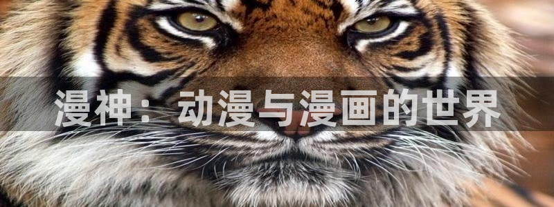 omofun动漫在线观看