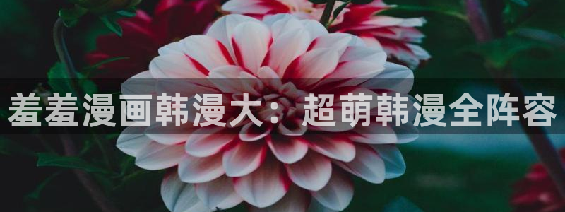 新版omofun下载：羞羞漫画韩漫大：超萌韩漫全阵容